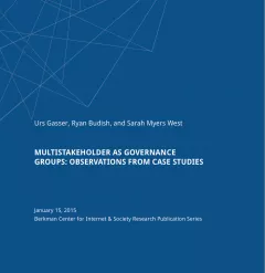 Multistakeholder as Governance Groups: Observations from Case Studies